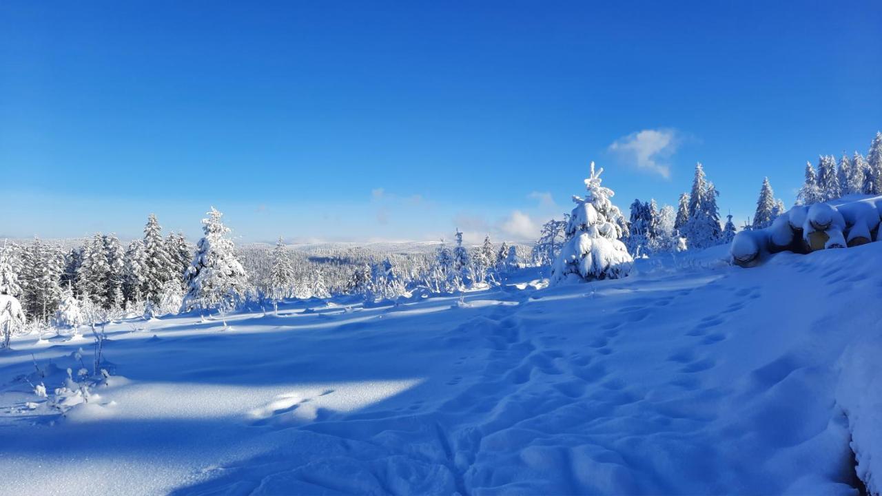 Les Dryades Gerardmer Luaran gambar