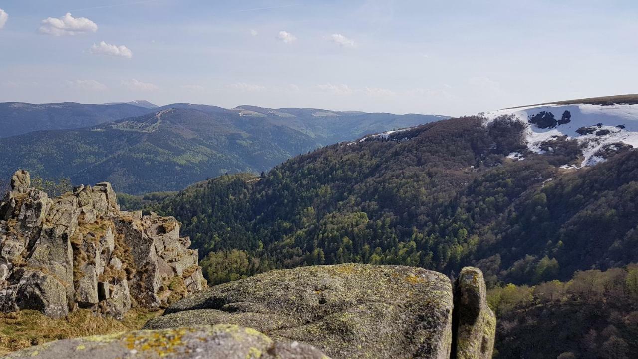 Les Dryades Gerardmer Luaran gambar