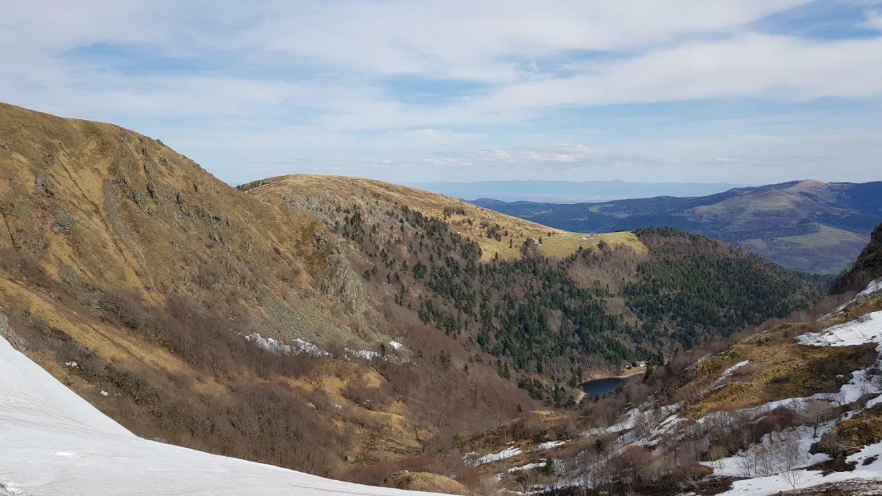 Les Dryades Gerardmer Luaran gambar